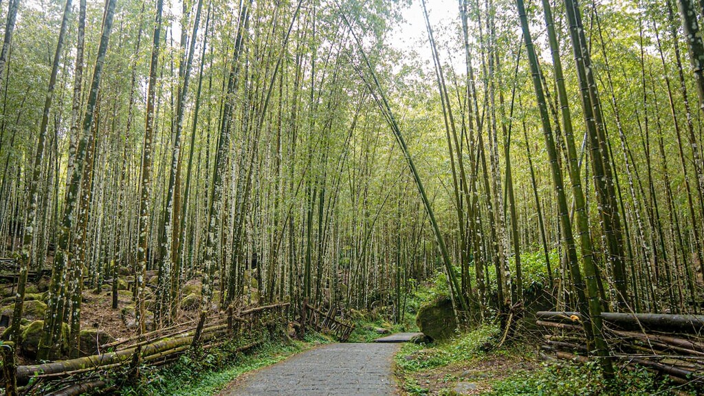 Jilong Shan, Basianshan National Forest Recreation Area, Taiwan