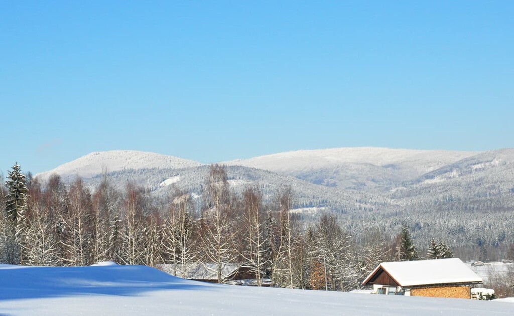  Falkenstein, Bavarian Forest National Park, Germany