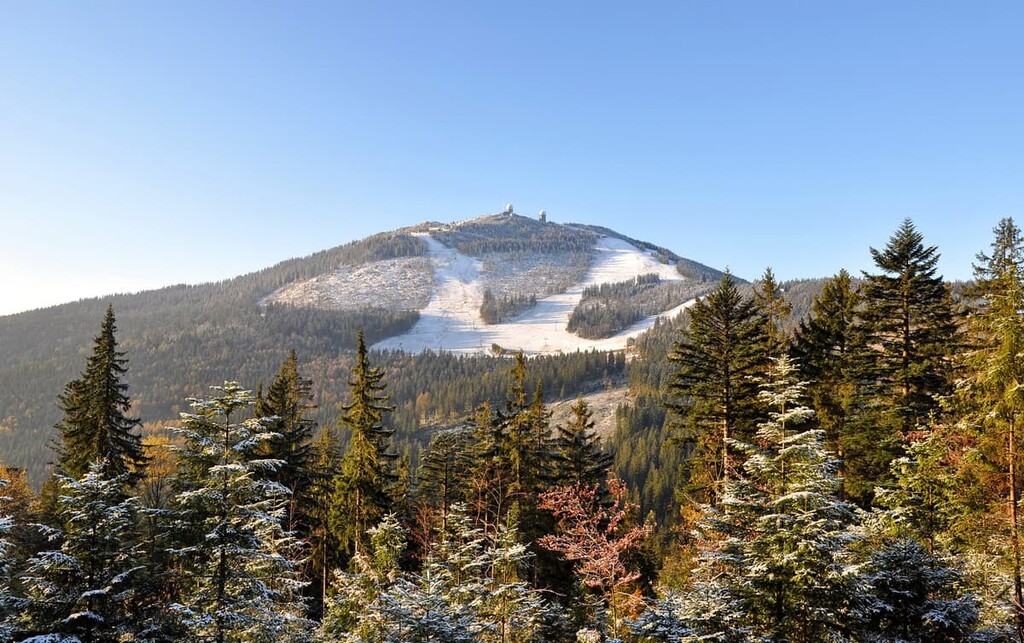 Bavarian Forest National Park, Germany