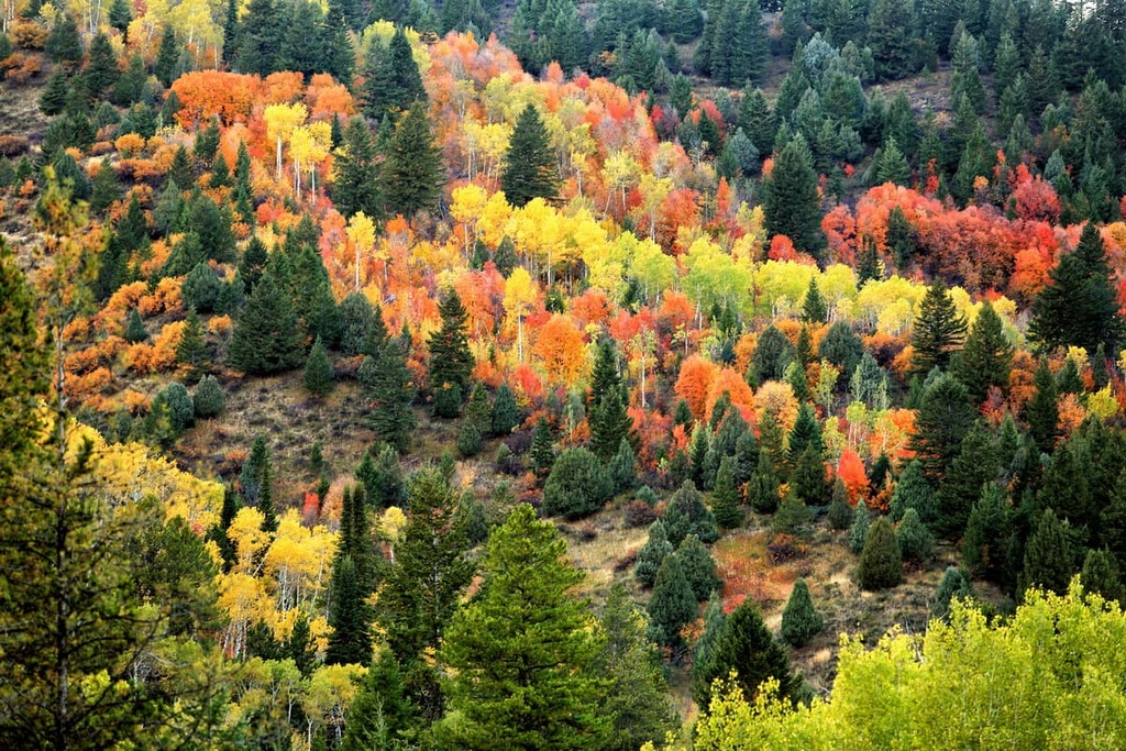 Bear River Range, Idaho