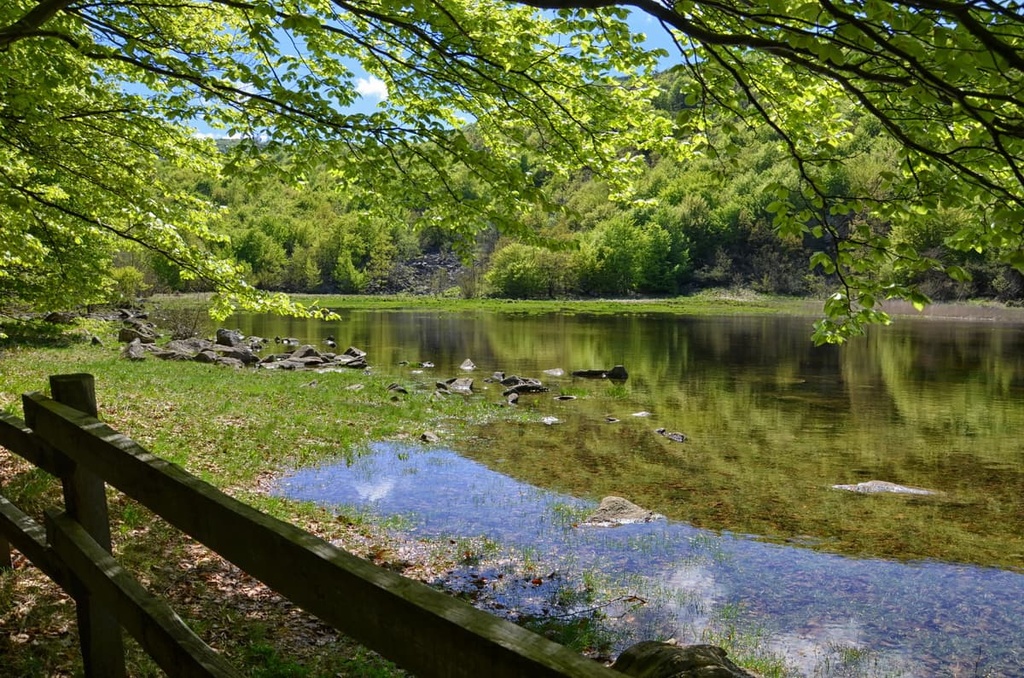 Laione peat bog, Beigua Nature Par, Italy