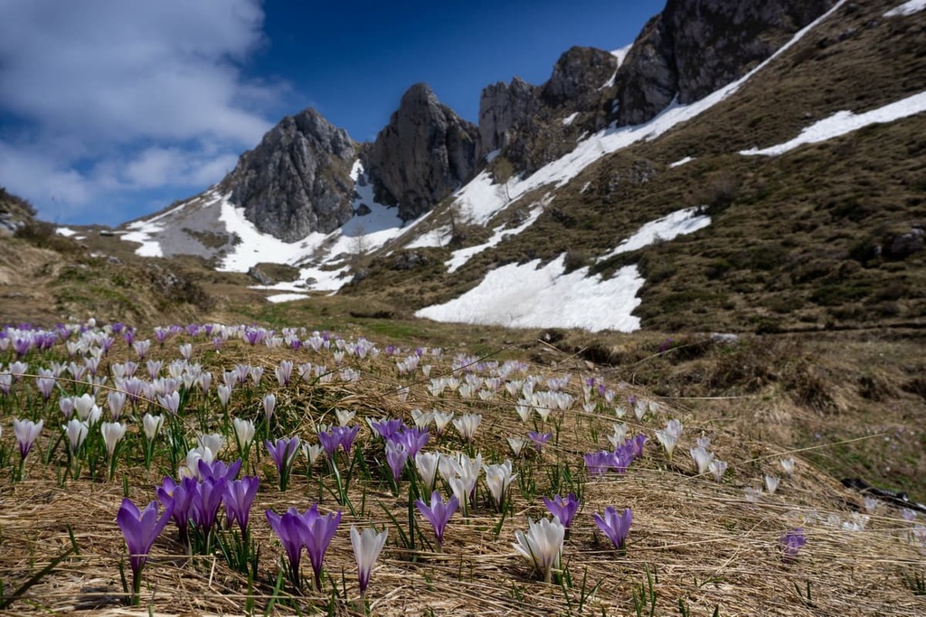 Olone, Bergamo, Italy