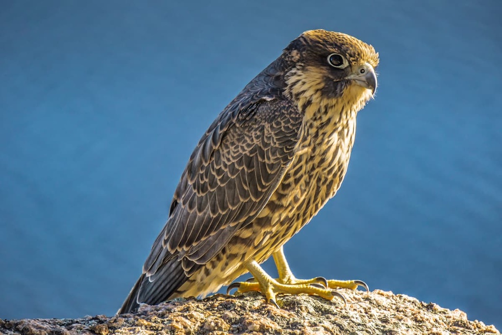 Bic National Park, Quebec