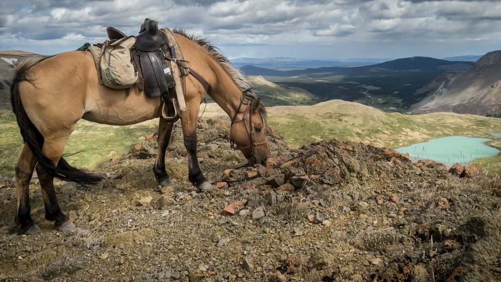 Big Creek Provincial Park, Canada