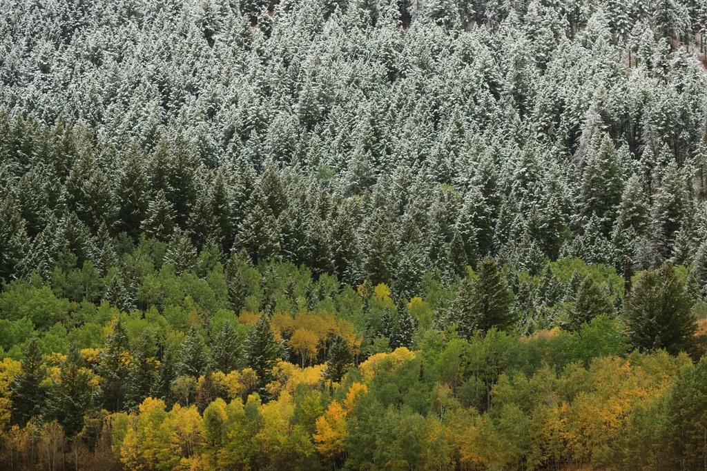Big Hole Mountains, Idaho