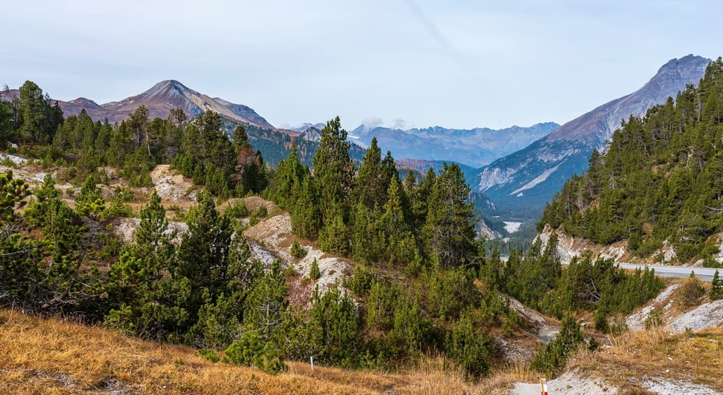 Tschierv, Biosfera Val Müstair, Switzerland