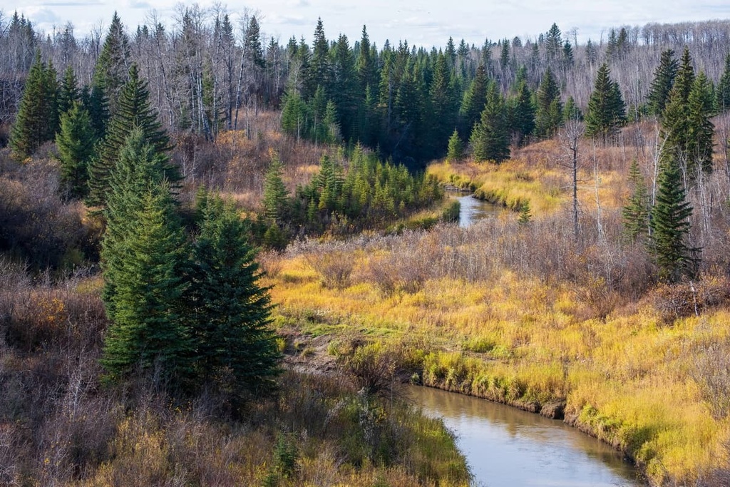 Birch Hills County Mountains