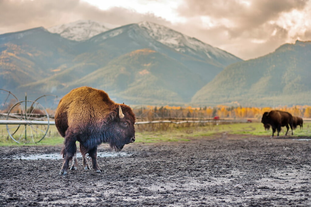 Bitterroot Valley, Montana