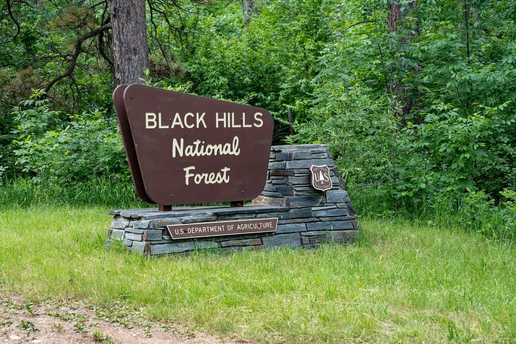 Black Hills National Forest, US