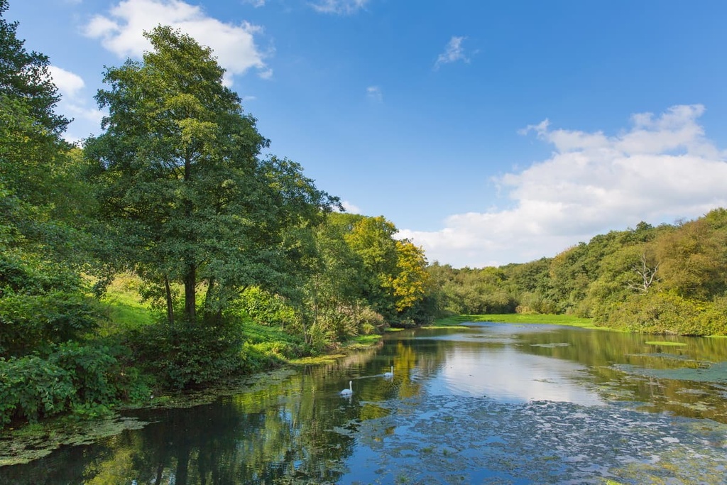 Otterhead Lake, Blackdown Hills Area, England