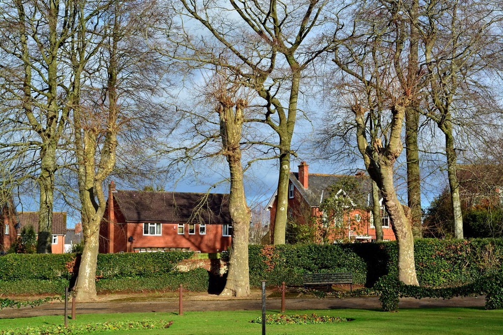 Wellington, Blackdown Hills Area, England