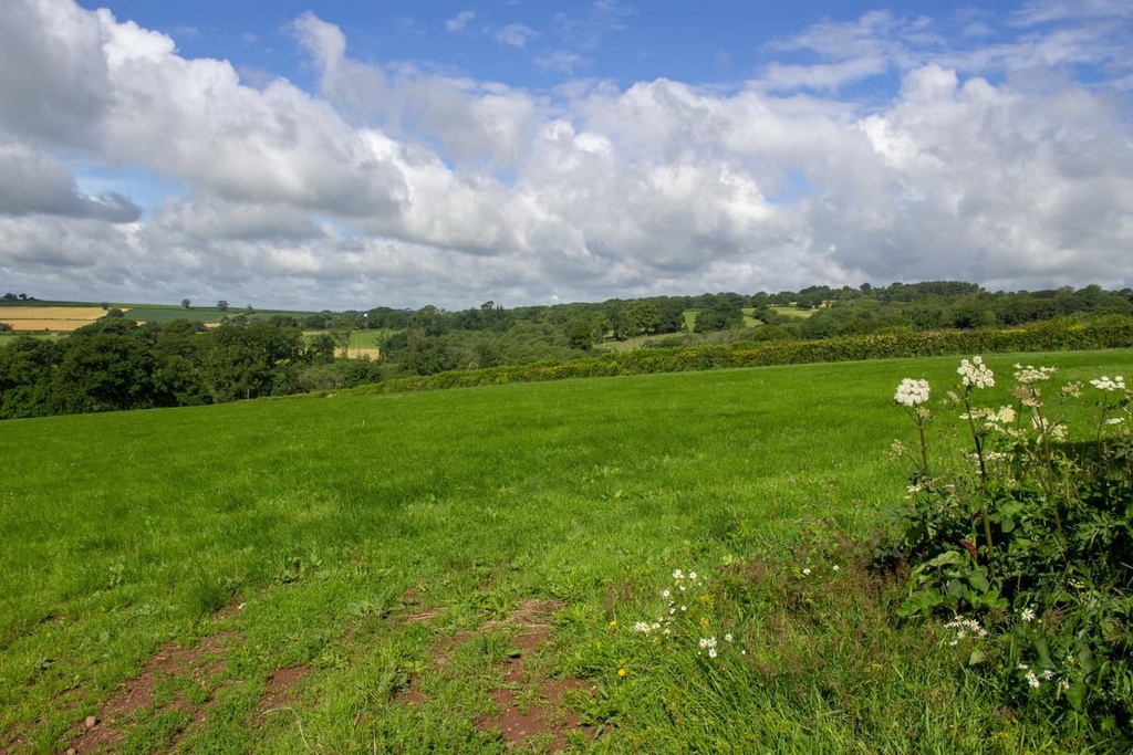 Blackdown Hills Area, England