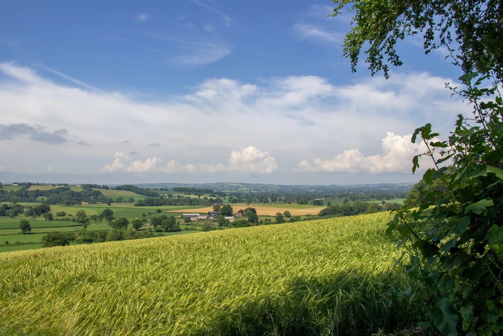  Blackdown Hills Area, England