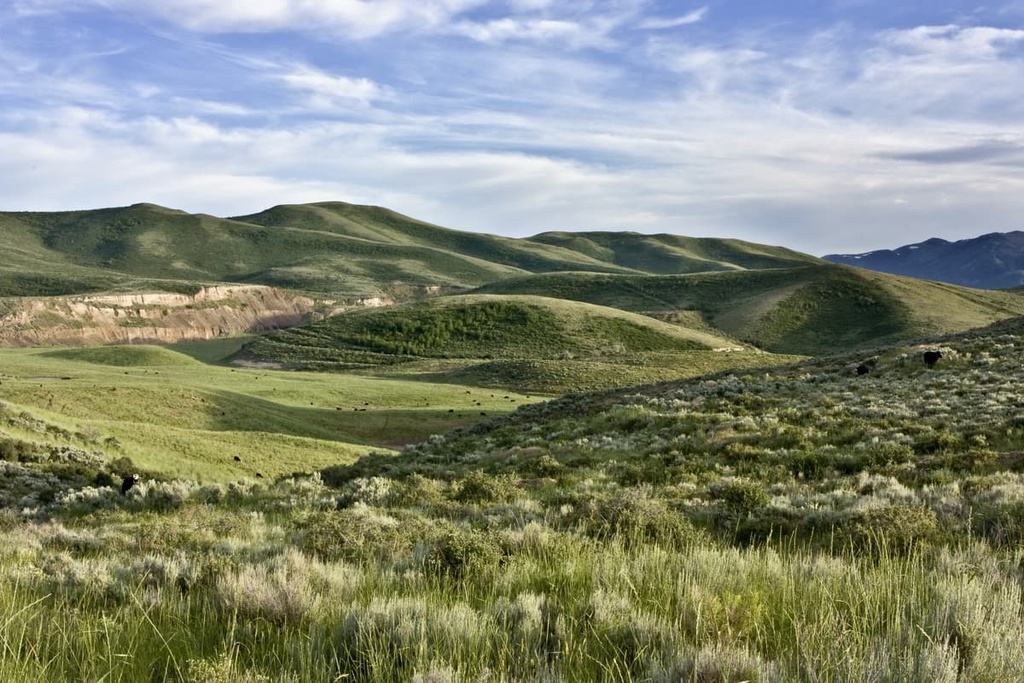 Wolverine Canyon, Blackfoot Mountains, Idaho