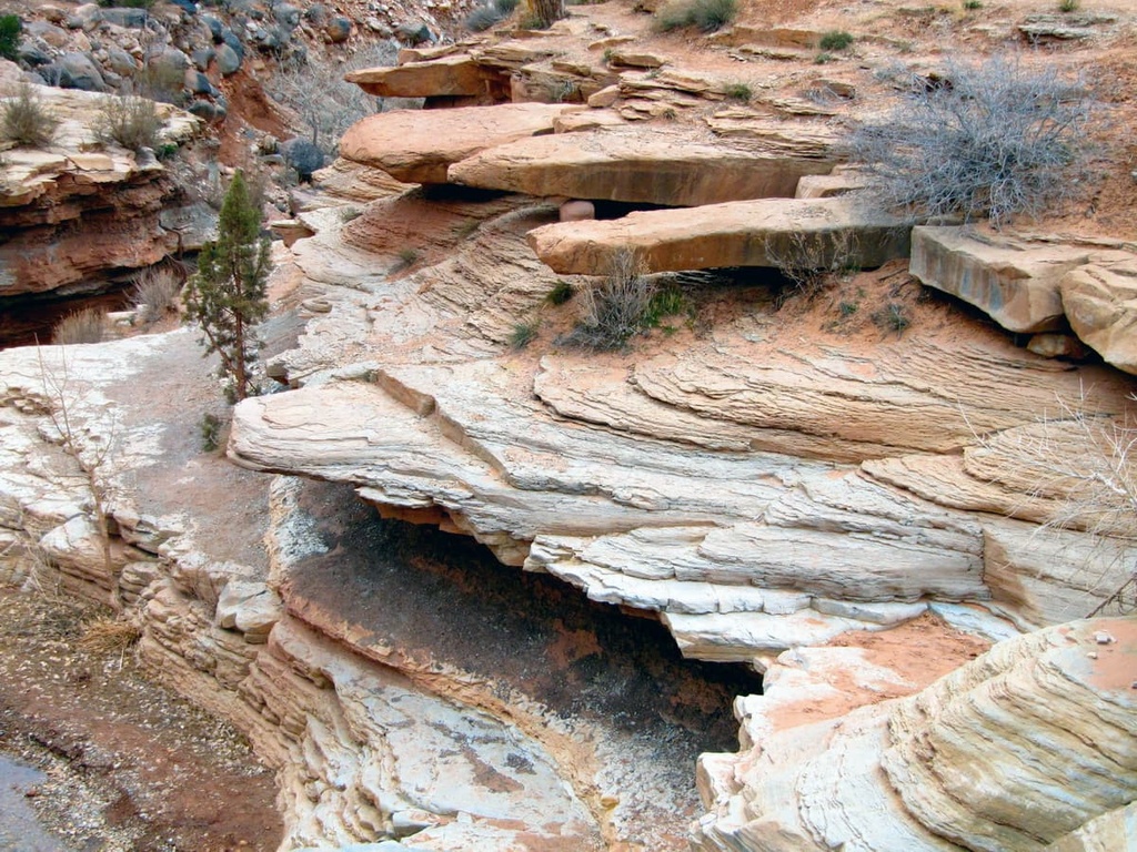 Blacrkridge Wilderness Area, Utah