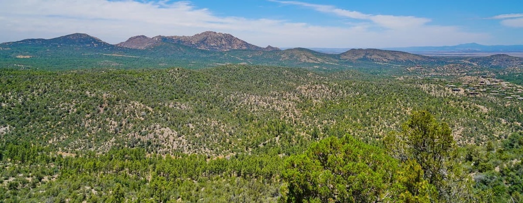 Blue Range Primitive Area, Arizona