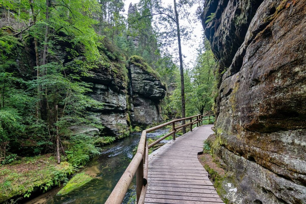Gorge of river Kamenice, Bohemian Switzerland National Park, Czechia