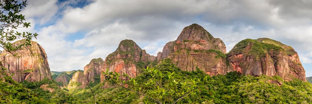 Forest in Amboro National Park, Bolivia