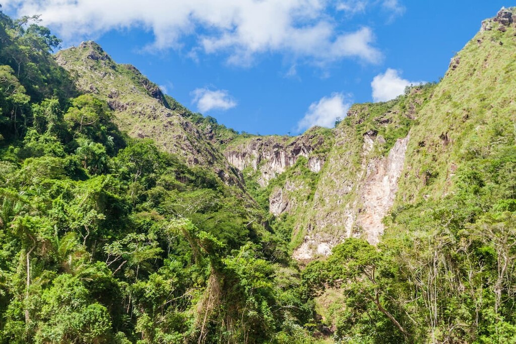 Madidi National Park, Bolivia
