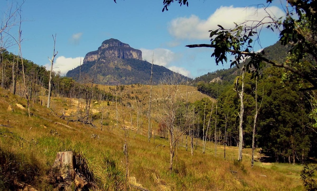 Border Ranges National Park, New South Wales