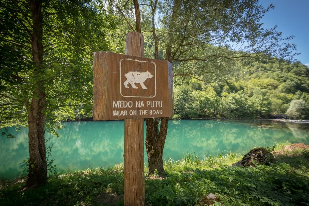 Bosnia and Herzegovina