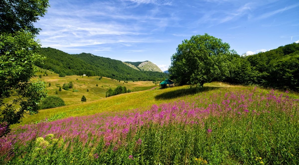 Bosnia and Herzegovina Mountains