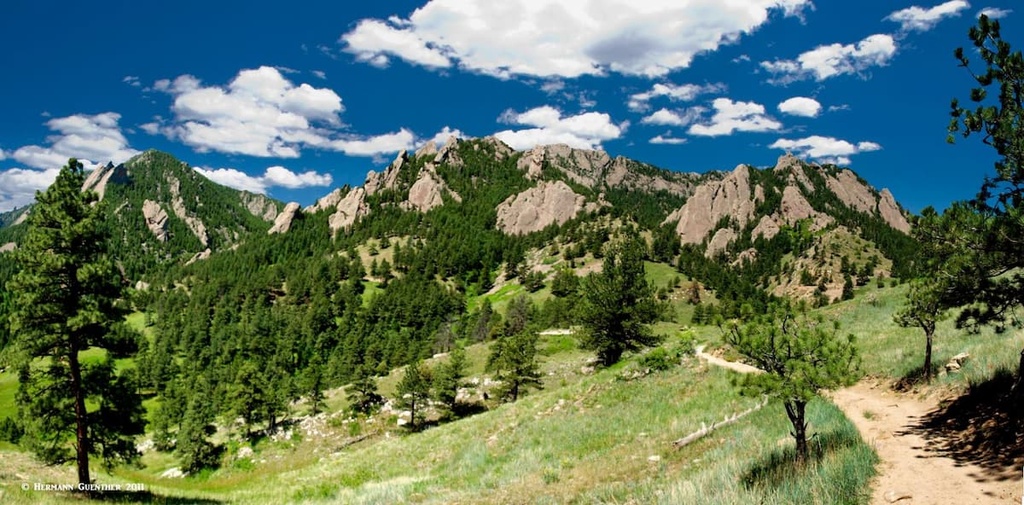 Forest, Boulder Open Space and Mountain Parks, Colorado