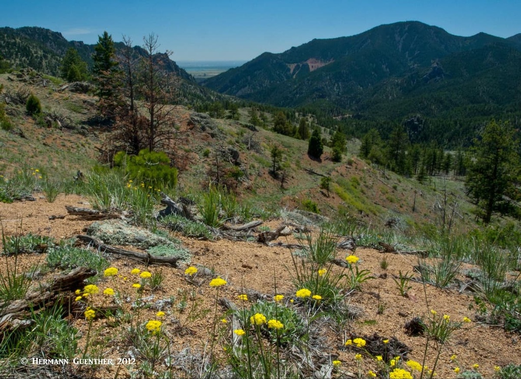 Eldorado Mountain, Boulder Open Space and Mountain Parks, Colorado