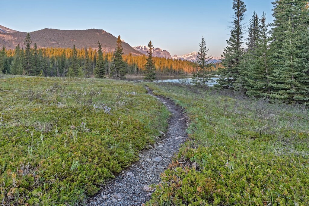 Early Morning at Middle Lake in  Bow Valley Provincial Park, Alberta