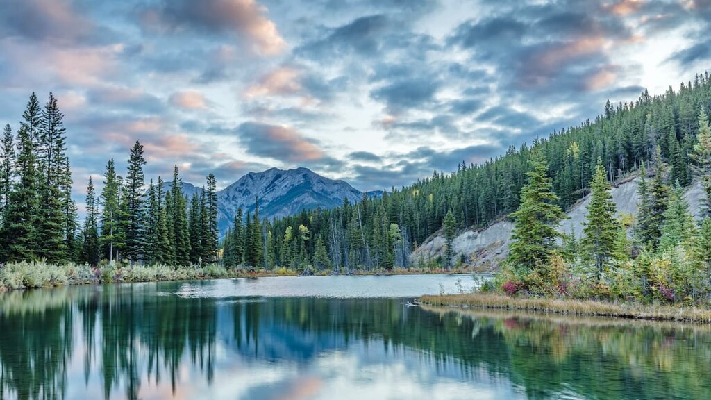 Bow Valley Provincial Park