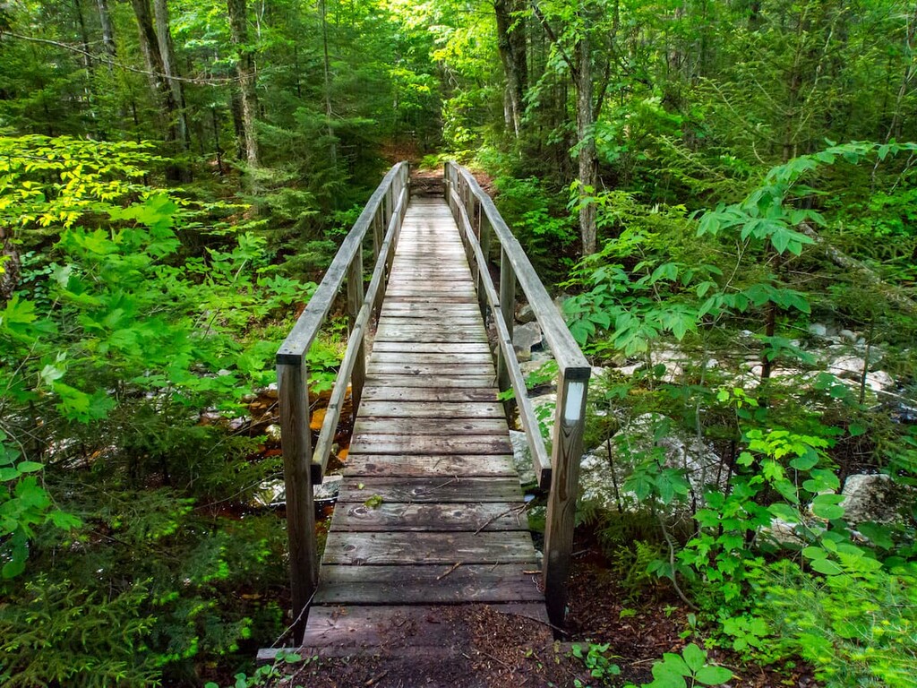 Bridge, Breadloaf Wilderness, Vermont