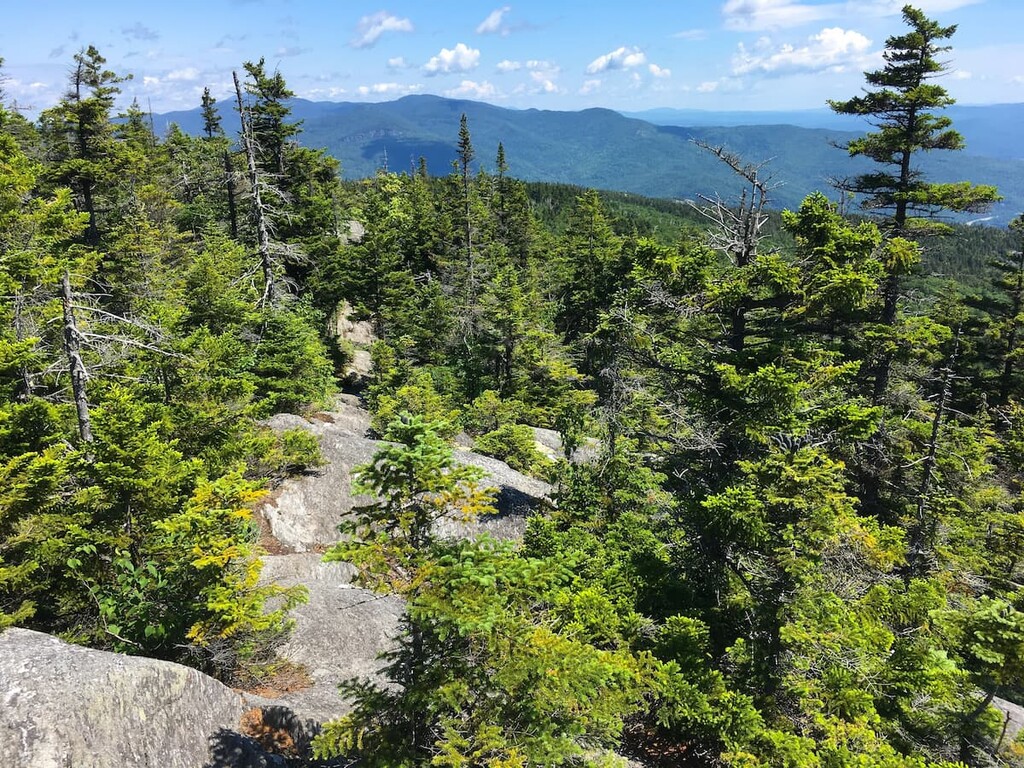 Long Trail to Camel's Hump,Breadloaf Wilderness, Vermont
