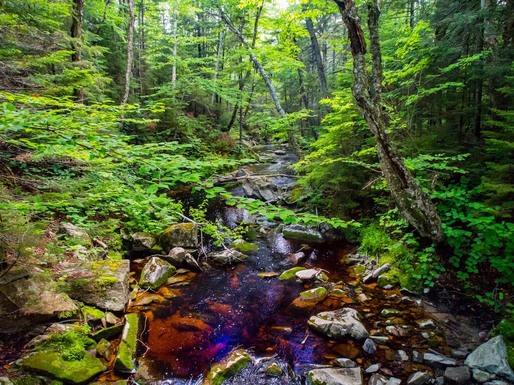 River, Breadloaf Wilderness, Vermont