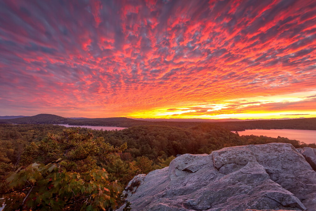 Forest Breadloaf Wilderness, Vermont