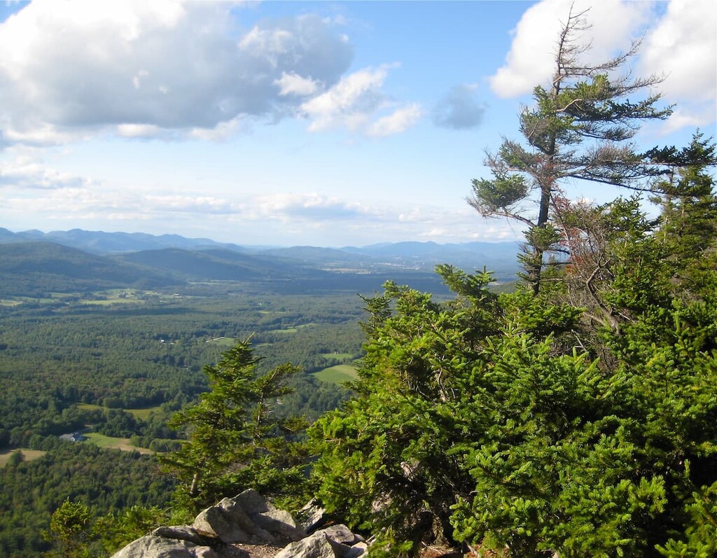 Forest Breadloaf Wilderness, Vermont