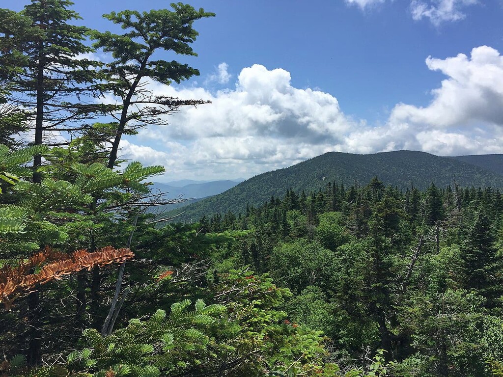 Breadloaf Wilderness, Vermont