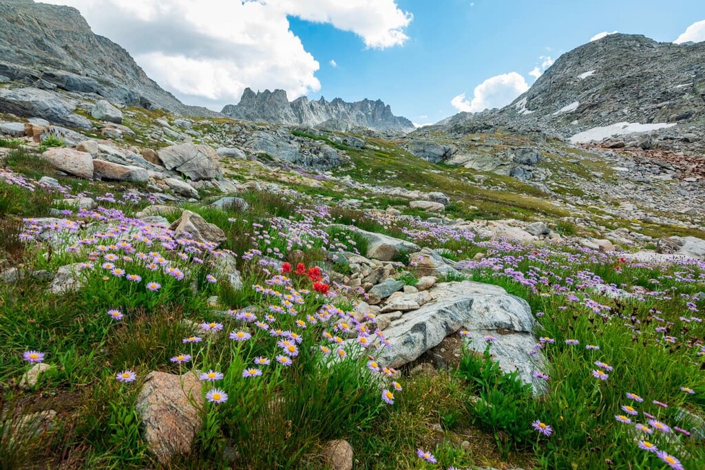 Bridger Wilderness, Wyoming