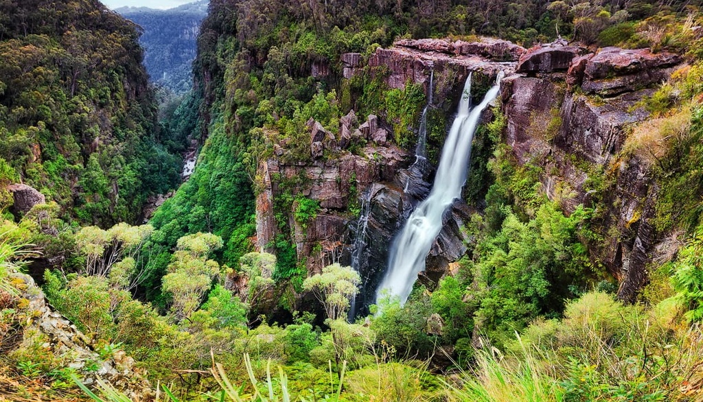 Budderoo National Park, Australia