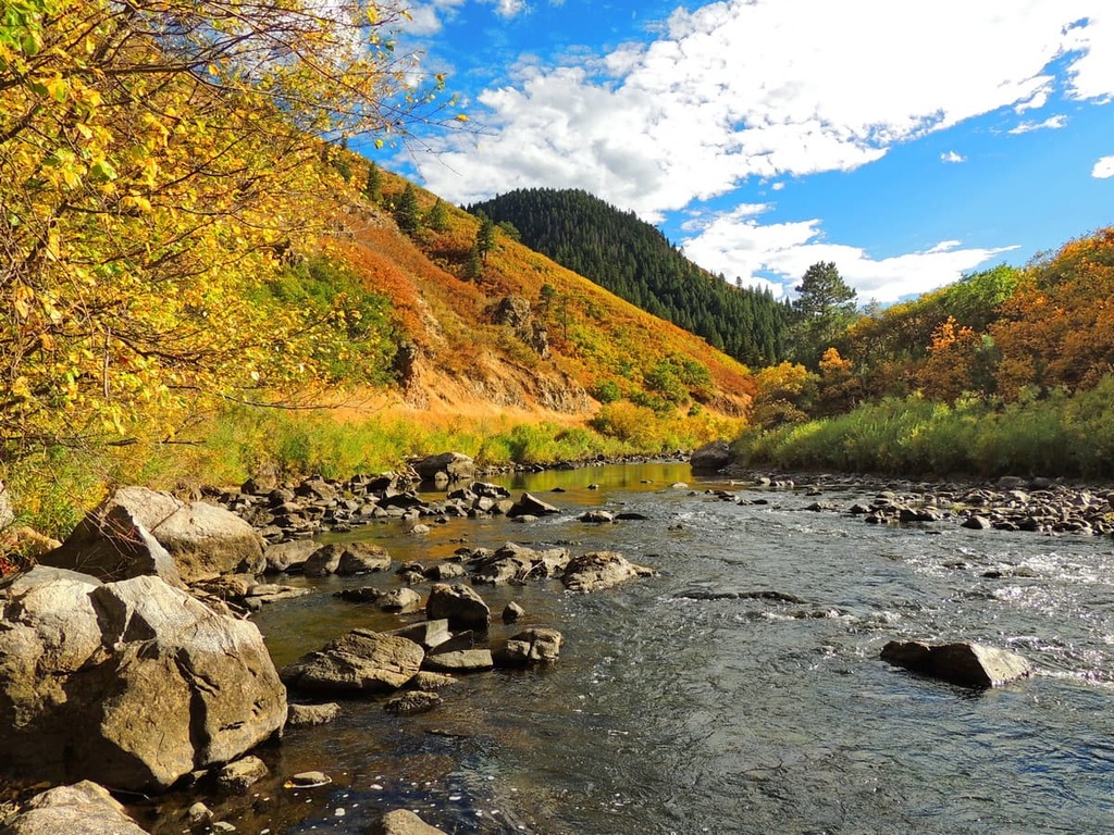Bull Gulch Wilderness Study Area, Colorado
