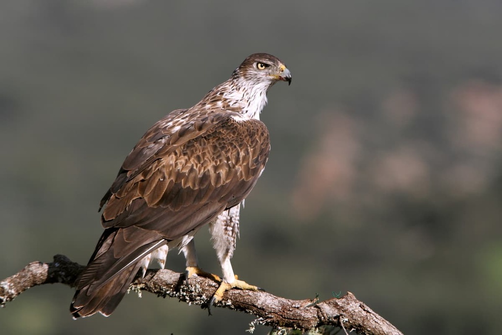 Calanques National Park , France
