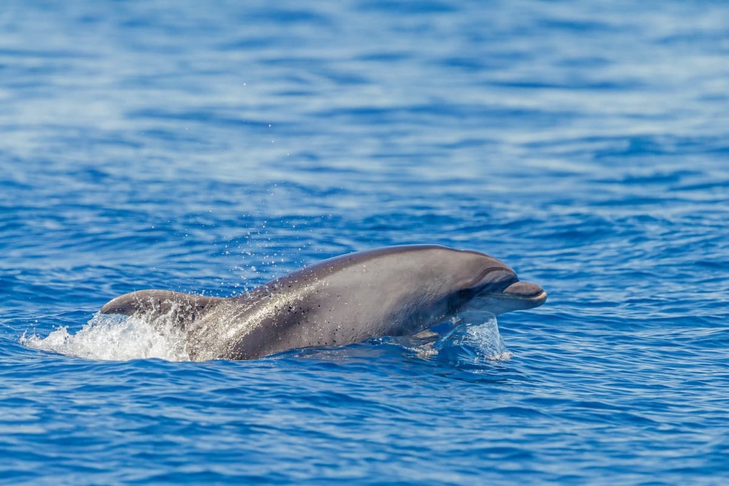 Calanques National Park , France