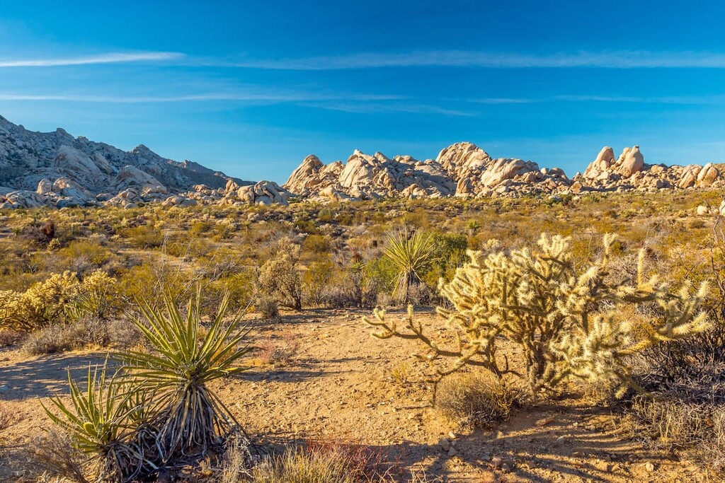 Mojave Desert, California