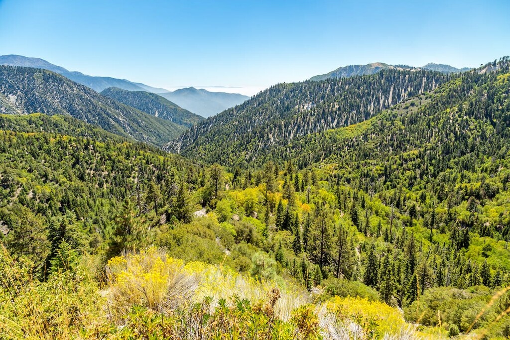 San Bernardino National Forest, California