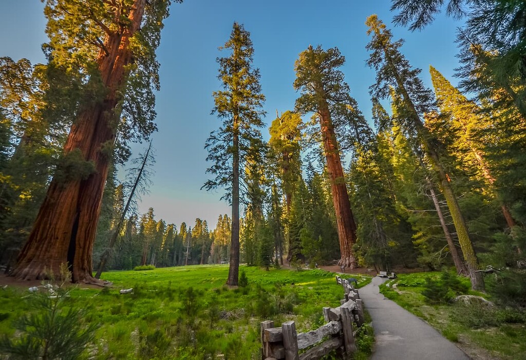 Sequoia-Kings Canyon National Park, California