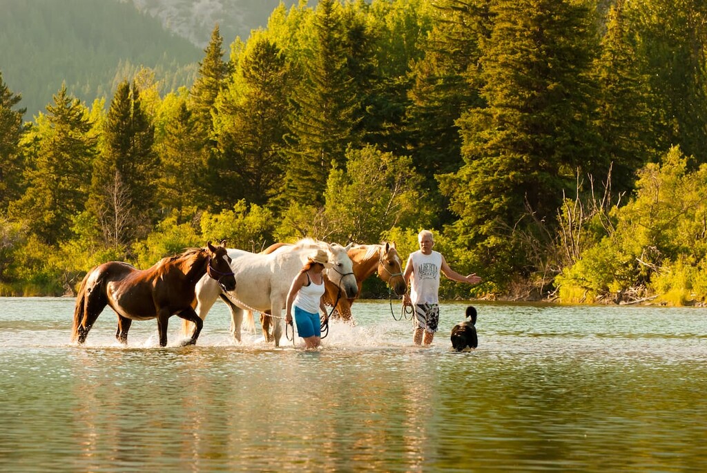 Crowsnest Pass, Alberta