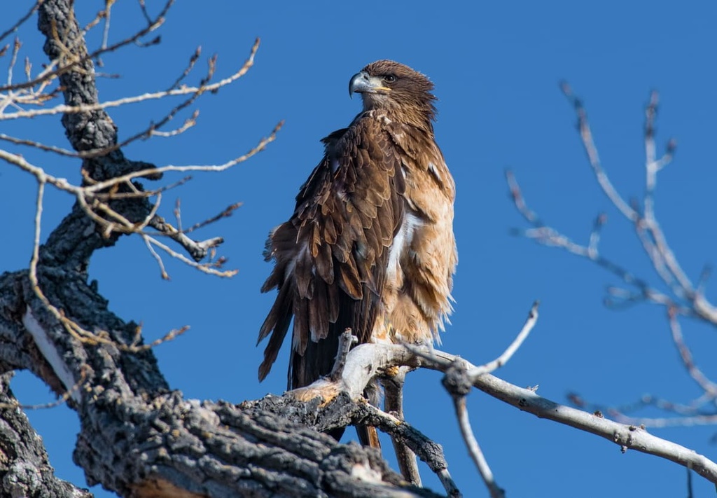 Canyons of the Ancients National Monument, Colorado