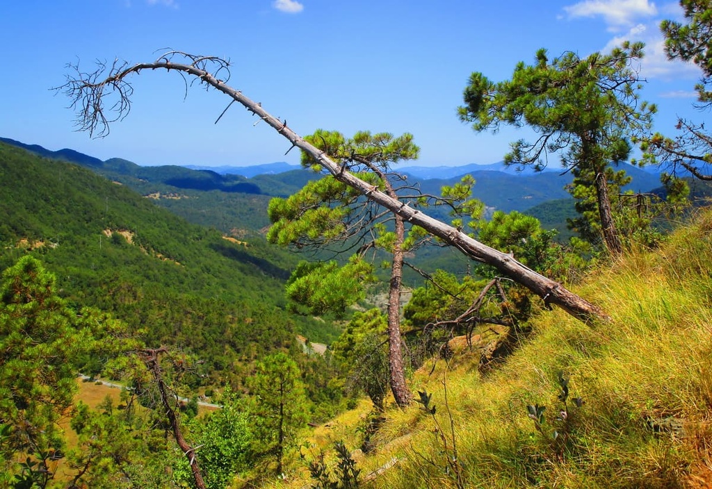 Capanne di Marcarolo Natural Park, Italy