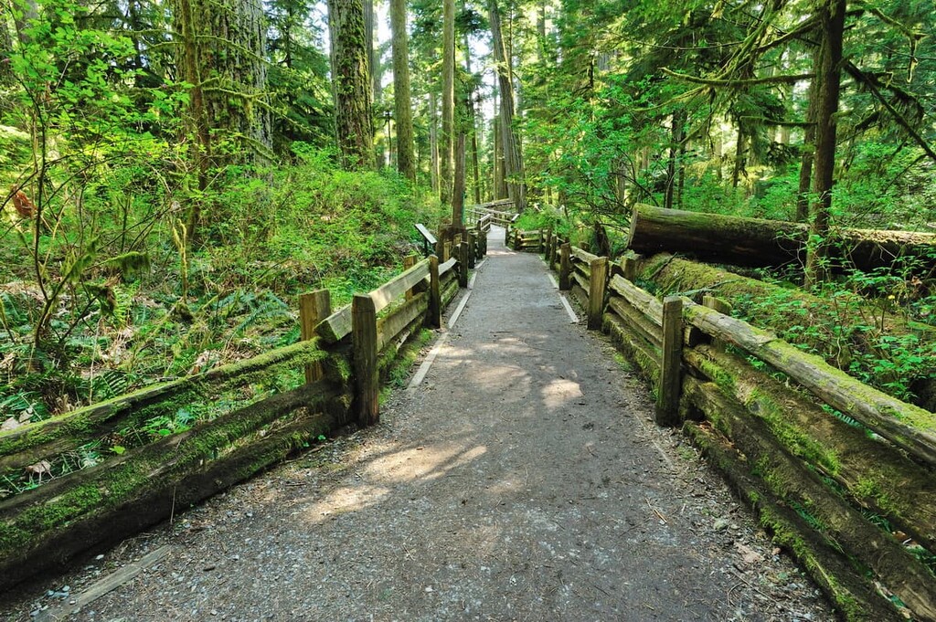 Gowlland Tod Provincial Park, Capital Regional District, Canada