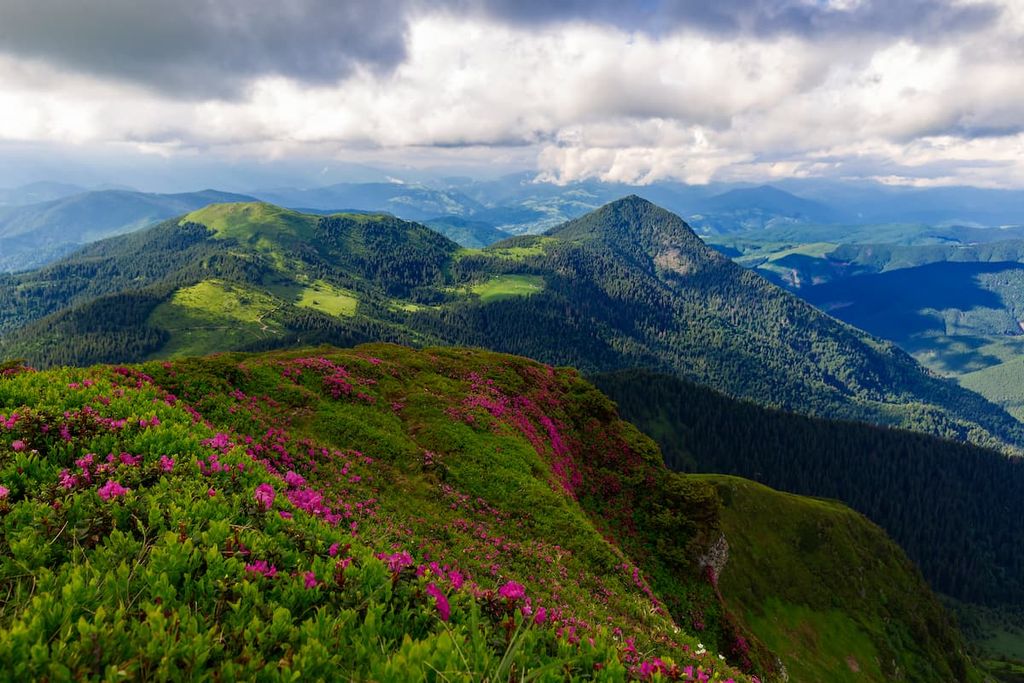 Carpathian Biosphere Reserve