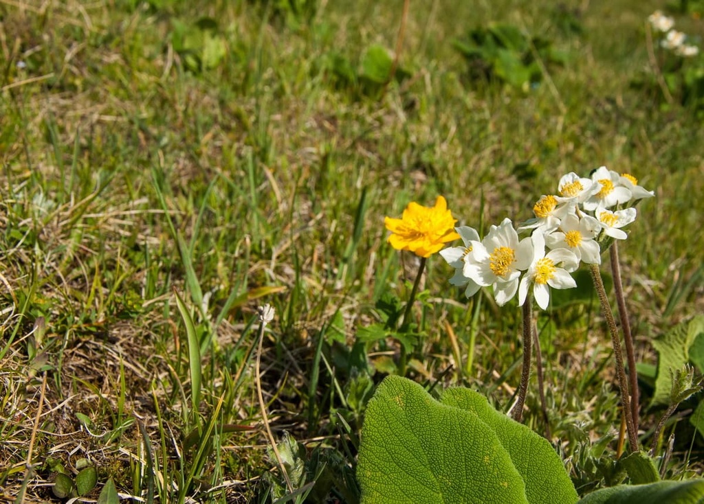  Casentino Forests National Park, Italy